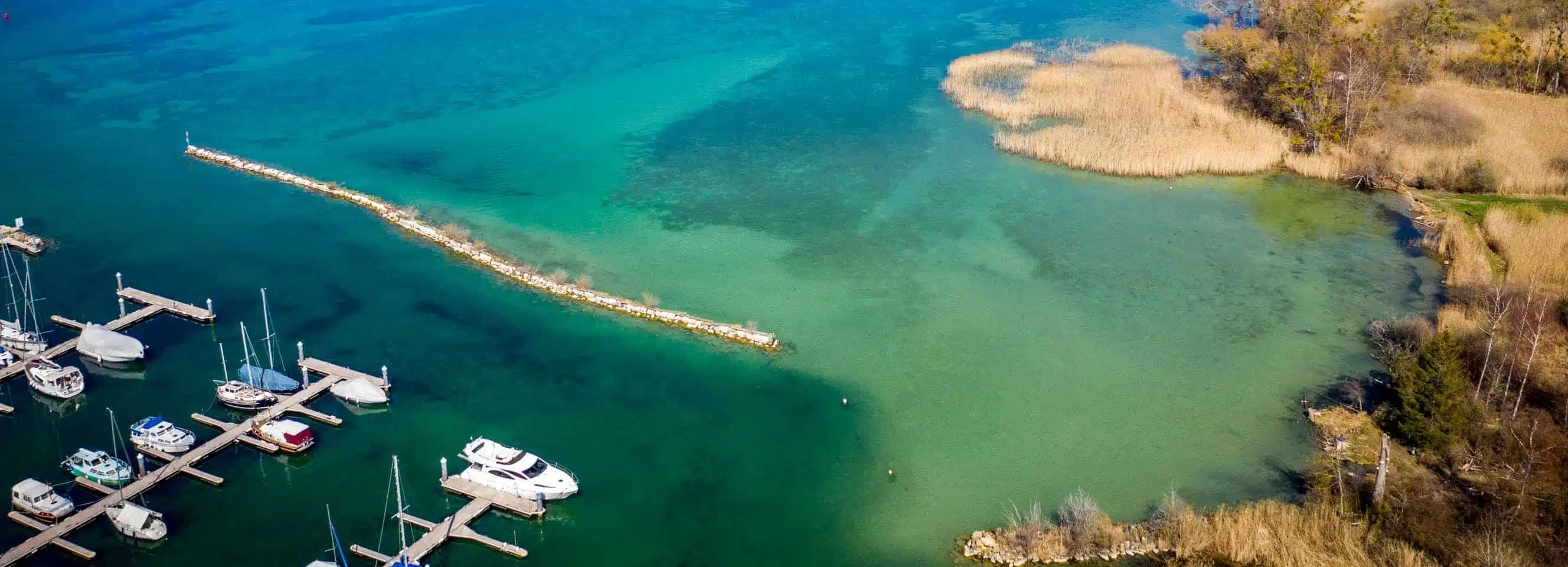 La-Grande-Caricaie data-lazy-srcset="https://www.mobilis-vaud.ch/wp-content/uploads/2024/11/La-Grande-Caricaie-200x72.jpeg.webp